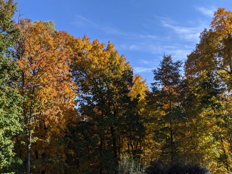 File:IMG 20191111 142600.jpg