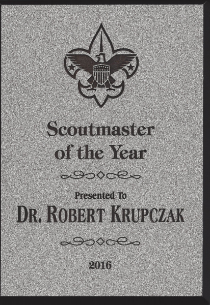 File:Scoutmaster-of-year-2016.png