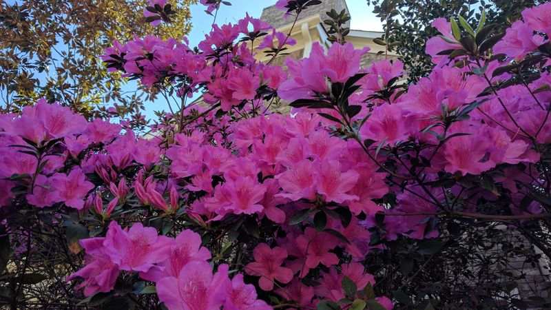 File:IMG 20170401 144248.jpg